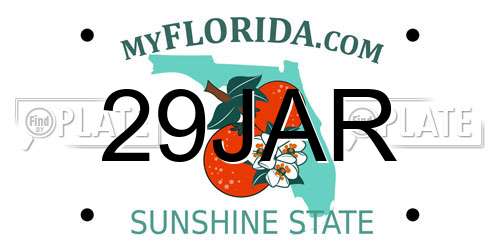 29JAR Florida License Plate