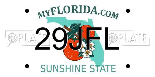 29JFL Florida License Plate