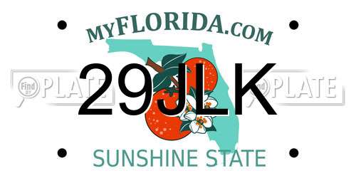 29JLK Florida License Plate