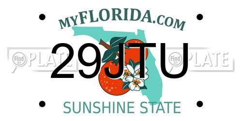 29JTU Florida License Plate