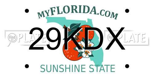 29KDX Florida License Plate