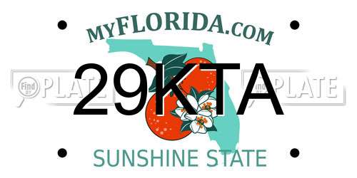 29KTA Florida License Plate