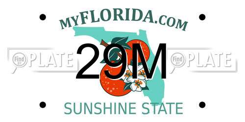 29M Florida License Plate