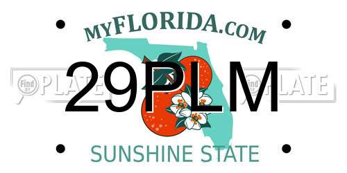 29PLM Florida License Plate