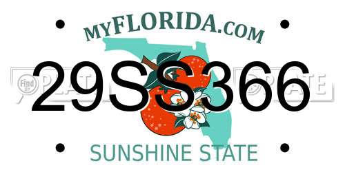 29SS366 Florida License Plate