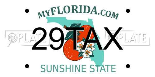 29TAX Florida License Plate