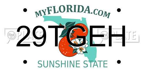 29TGEH Florida License Plate