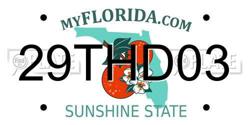 29THD03 Florida License Plate
