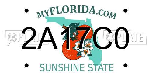 2A17C0 Florida License Plate