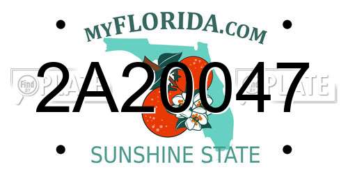 2A20047 Florida License Plate