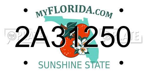 2A31250 Florida License Plate