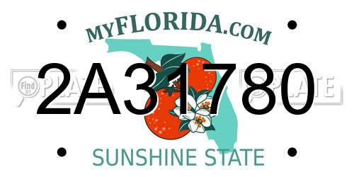 2A31780 Florida License Plate