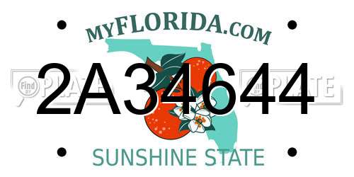 2A34644 Florida License Plate
