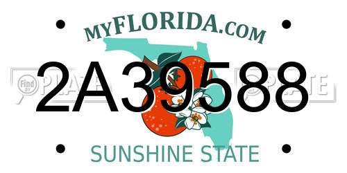 2A39588 Florida License Plate