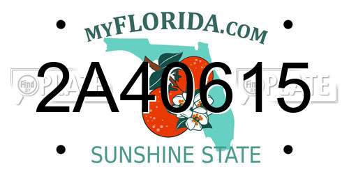 2A40615 Florida License Plate