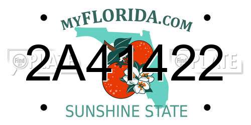 2A41422 Florida License Plate