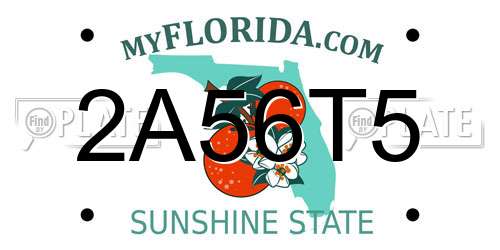 2A56T5 Florida License Plate