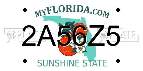 2A56Z5 Florida License Plate