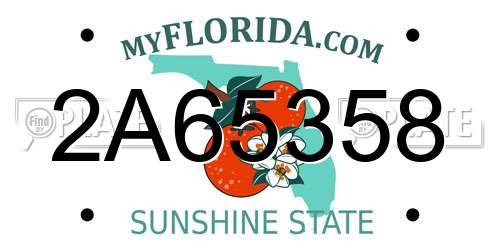 2A65358 Florida License Plate