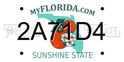 2A71D4 Florida License Plate
