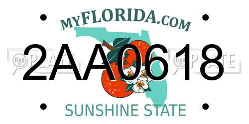 2AA0618 Florida License Plate
