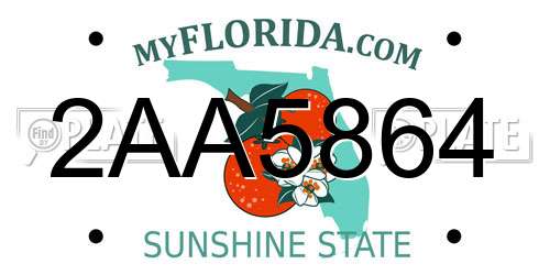 2AA5864 Florida License Plate