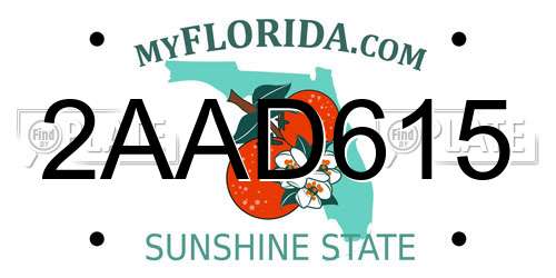 2AAD615 Florida License Plate