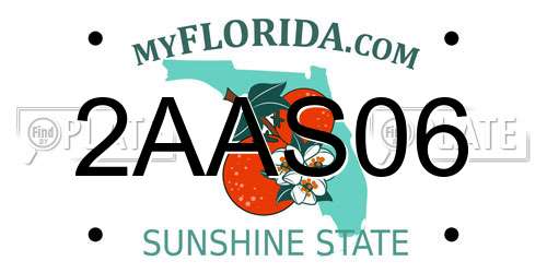 2AAS06 Florida License Plate