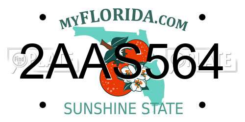 2AAS564 Florida License Plate