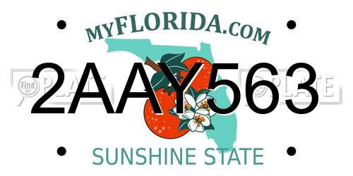 2AAY563 Florida License Plate
