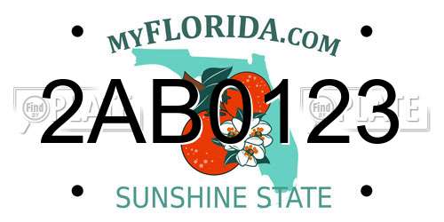 2AB0123 Florida License Plate