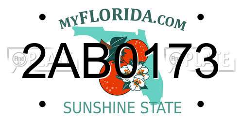2AB0173 Florida License Plate