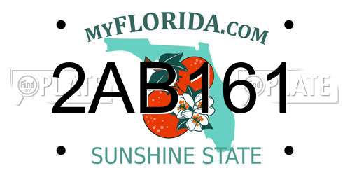 2AB161 Florida License Plate