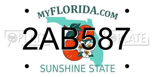2AB587 Florida License Plate