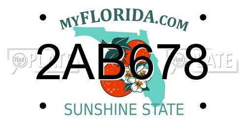 2AB678 Florida License Plate