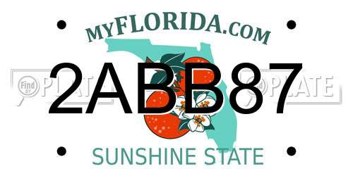 2ABB87 Florida License Plate