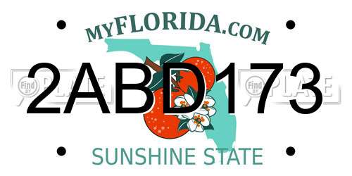 2ABD173 Florida License Plate