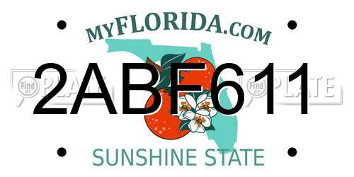 2ABF611 Florida License Plate
