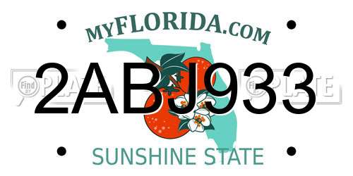 2ABJ933 Florida License Plate