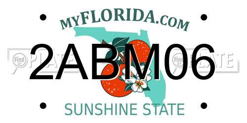 2ABM06 Florida License Plate