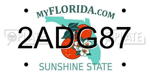 2ADG87 Florida License Plate