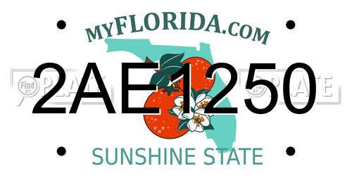 2AE1250 Florida License Plate