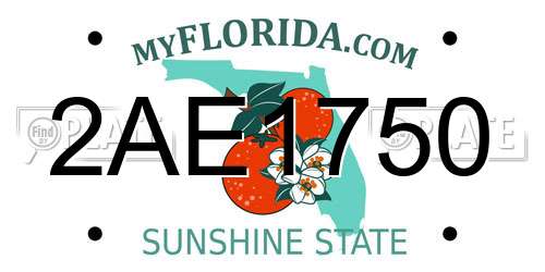 2AE1750 Florida License Plate
