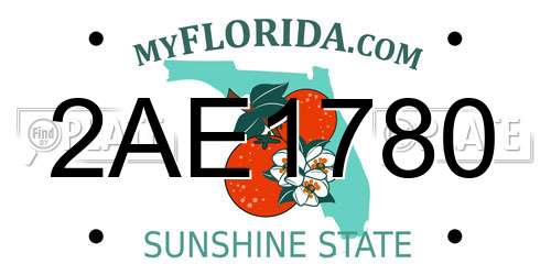 2AE1780 Florida License Plate