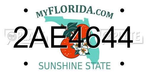 2AE4644 Florida License Plate