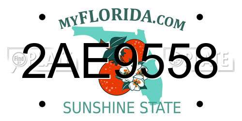 2AE9558 Florida License Plate