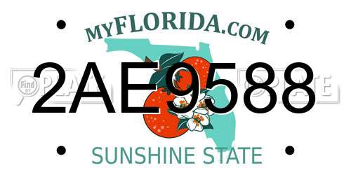 2AE9588 Florida License Plate