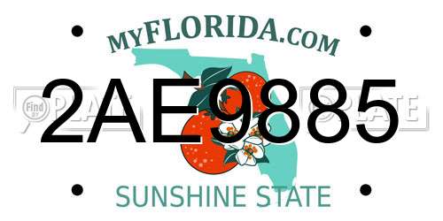 2AE9885 Florida License Plate