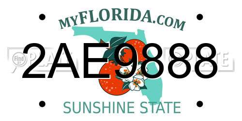 2AE9888 Florida License Plate