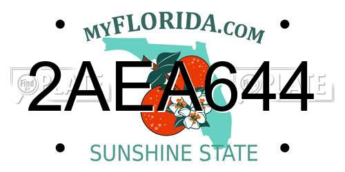 2AEA644 Florida License Plate